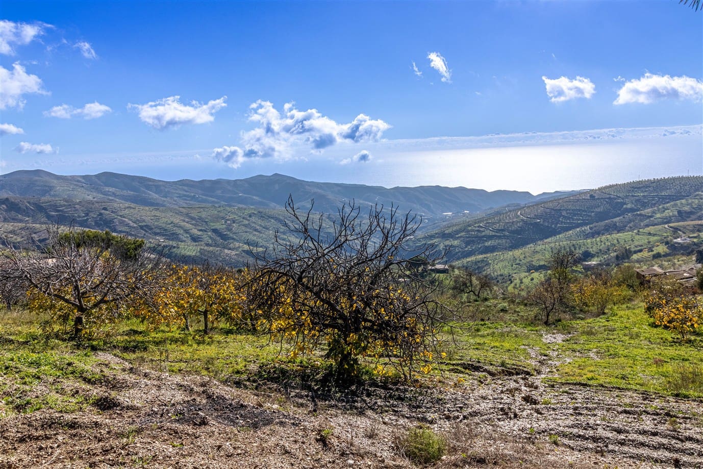 3 quarto Quinta/Casa Rural para venda em Murtas com garagem - 180 000 € (Ref: 9946682)