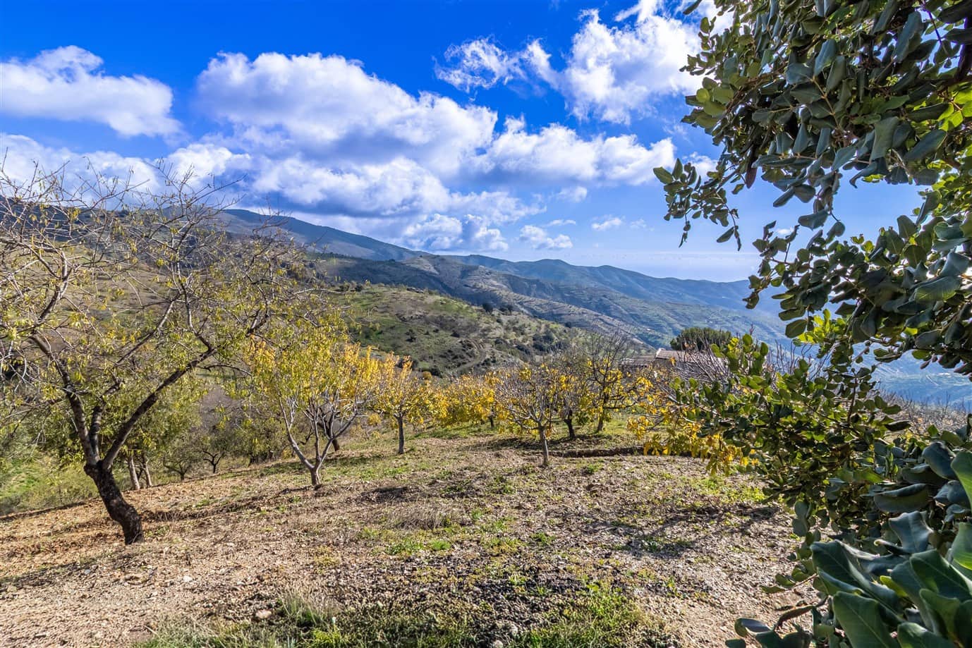 3 quarto Quinta/Casa Rural para venda em Murtas com garagem - 180 000 € (Ref: 9946682)