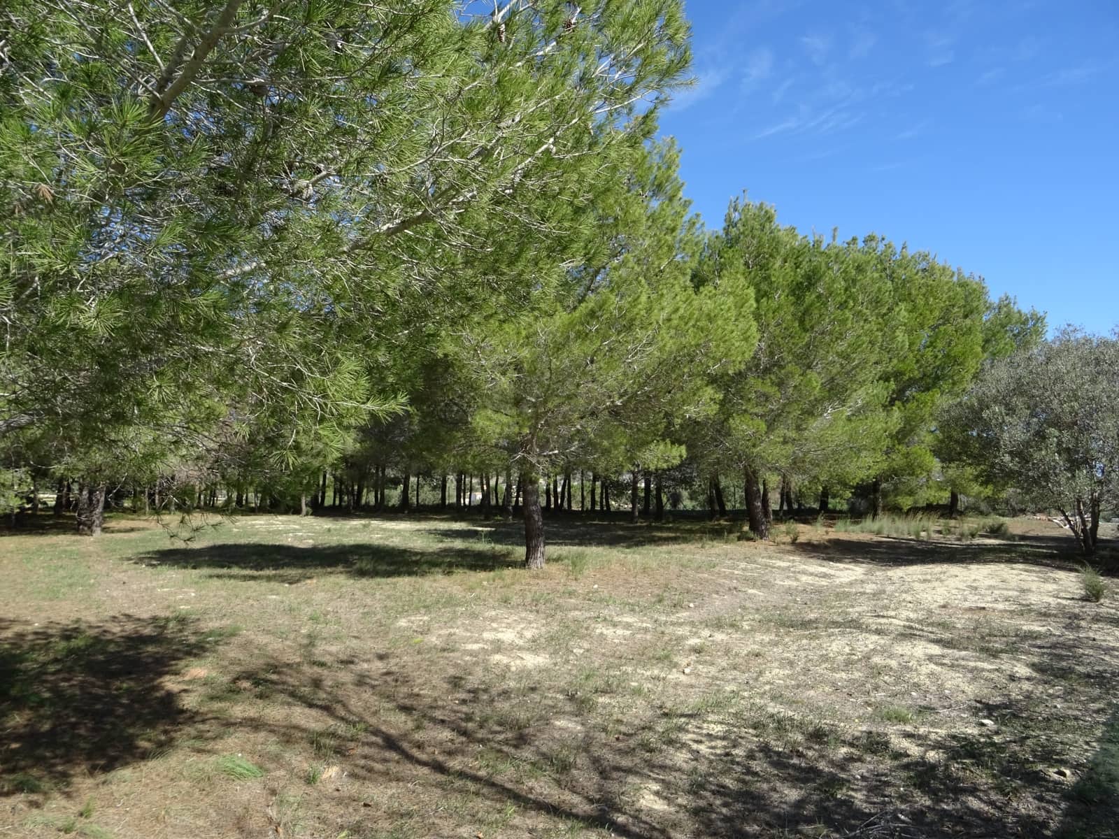 6 soverom Finca/Herregård til salgs i Benissa med svømmebasseng - € 720 000 (Ref: 1130432)