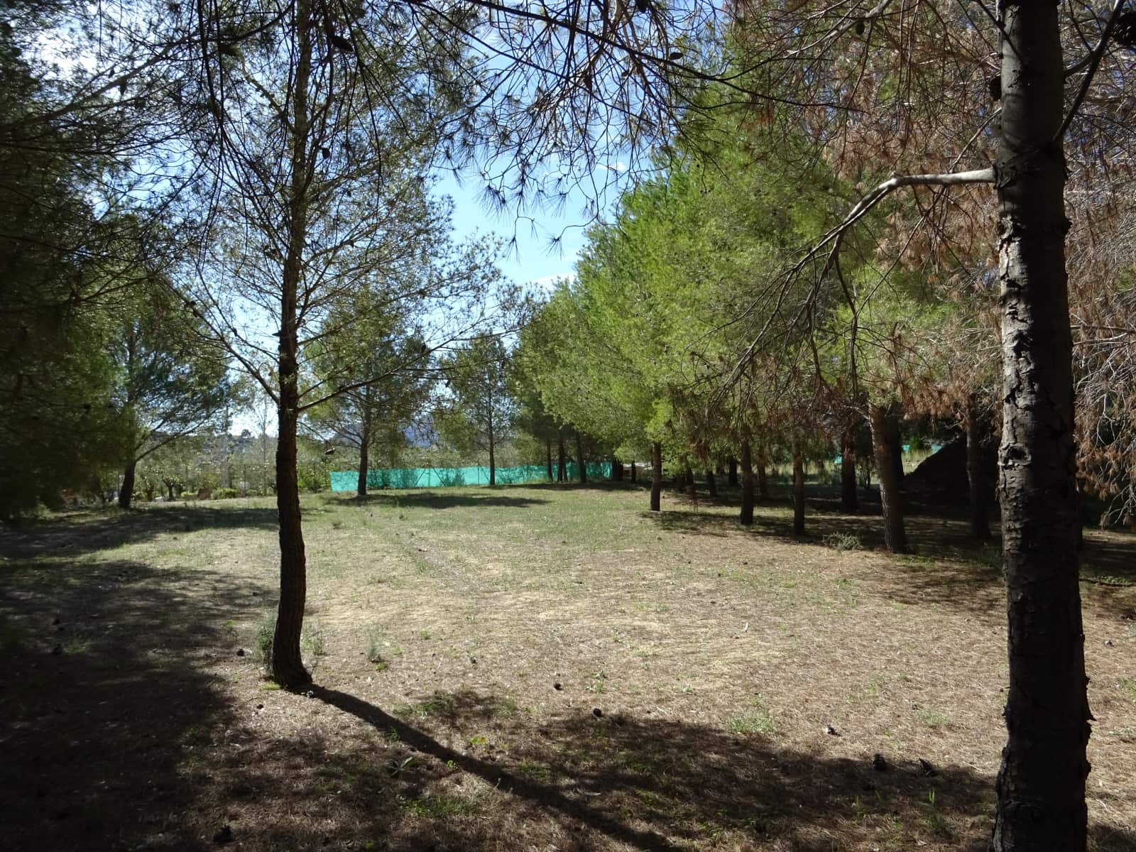 6 soverom Finca/Herregård til salgs i Benissa med svømmebasseng - € 720 000 (Ref: 1130432)