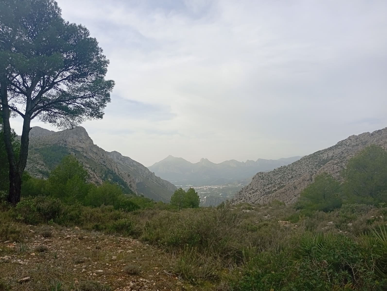 3 soveværelse Finca/Landehus til salg i Jalon / Xalo - € 150.000 (Ref: 247587)