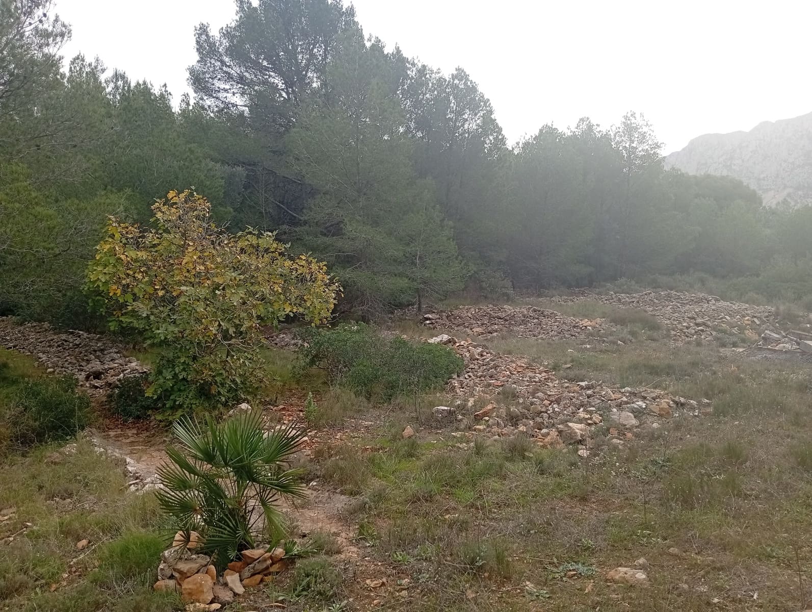 3 soveværelse Finca/Landehus til salg i Jalon / Xalo - € 150.000 (Ref: 247587)