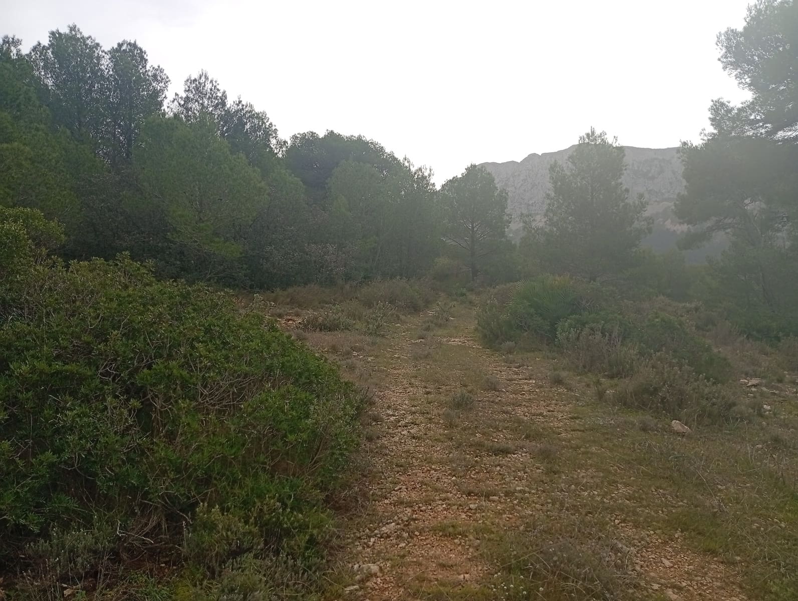 3 soveværelse Finca/Landehus til salg i Jalon / Xalo - € 150.000 (Ref: 247587)