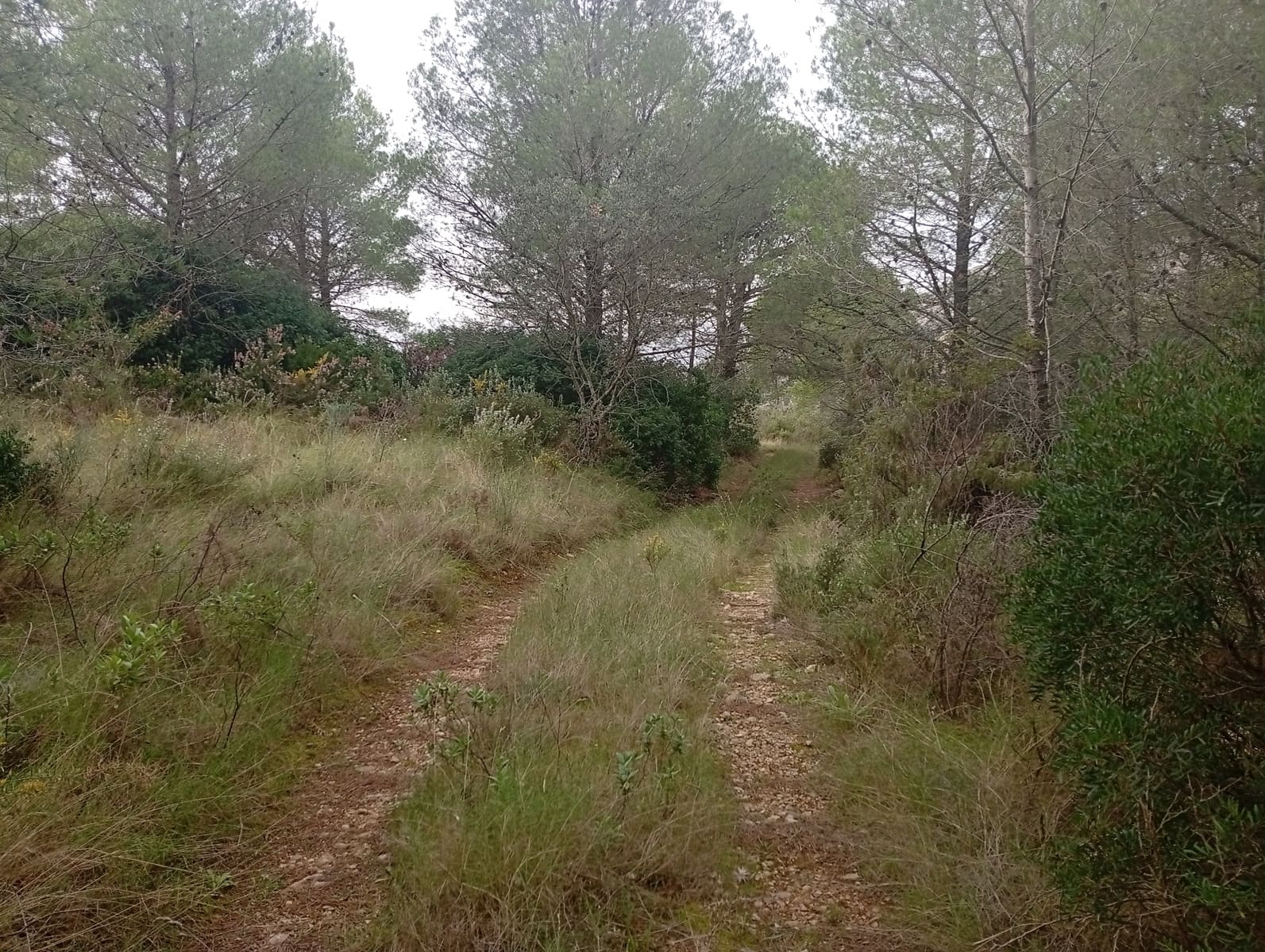 3 soveværelse Finca/Landehus til salg i Jalon / Xalo - € 150.000 (Ref: 247587)