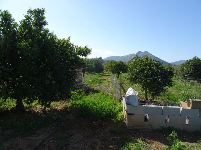 Undeveloped Land for sale in Alcalalí / Alcanalí - € 55,000 (Ref: 247741)