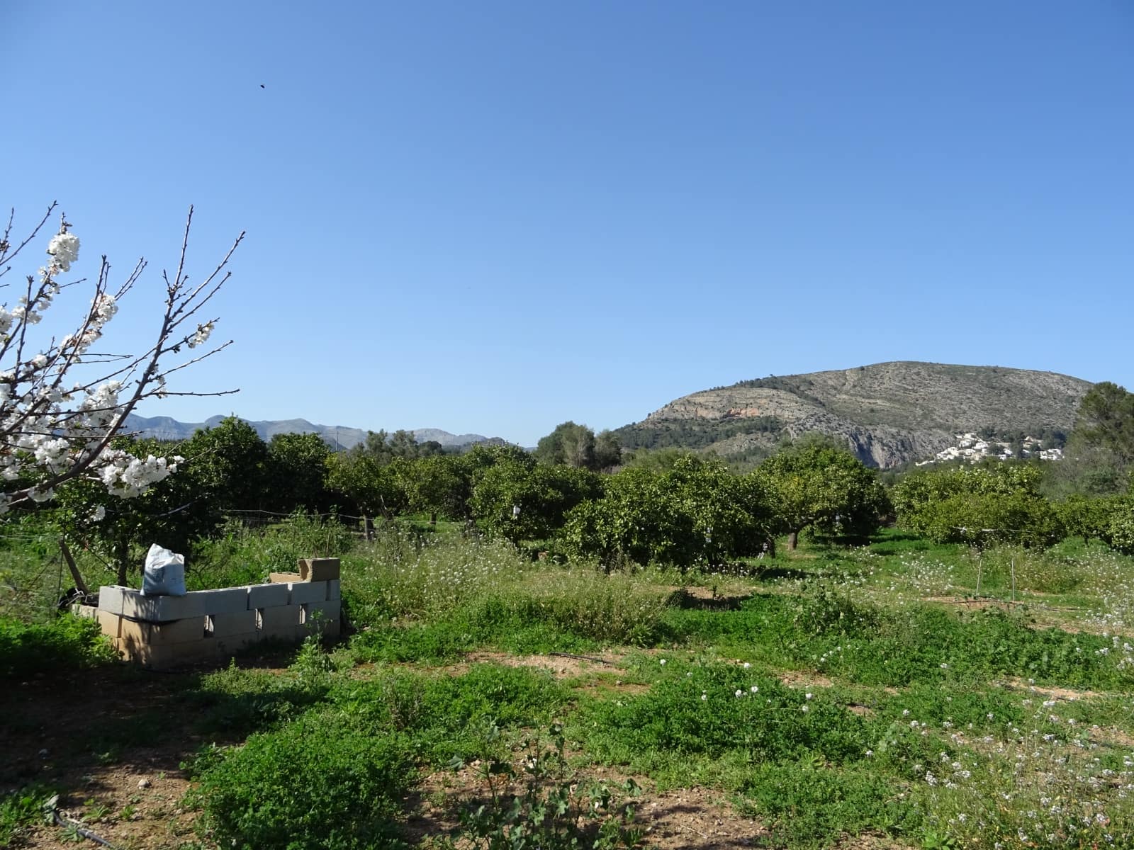 Grunde uden byggetilladelser til salg i Alcalali / Alcanali - € 55.000 (Ref: 247741)