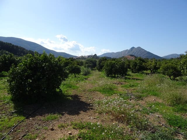 Undeveloped Land for sale in Alcalalí / Alcanalí - € 55,000 (Ref: 247741)