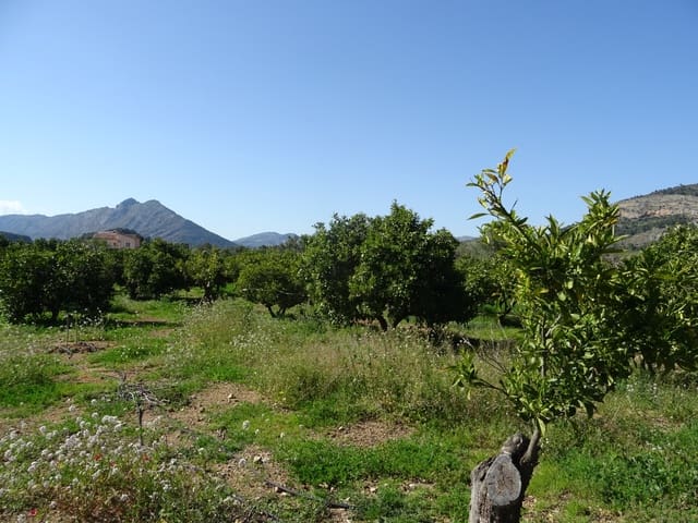 Undeveloped Land for sale in Alcalalí / Alcanalí - € 55,000 (Ref: 247741)