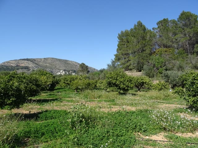 Undeveloped Land for sale in Alcalalí / Alcanalí - € 55,000 (Ref: 247741)