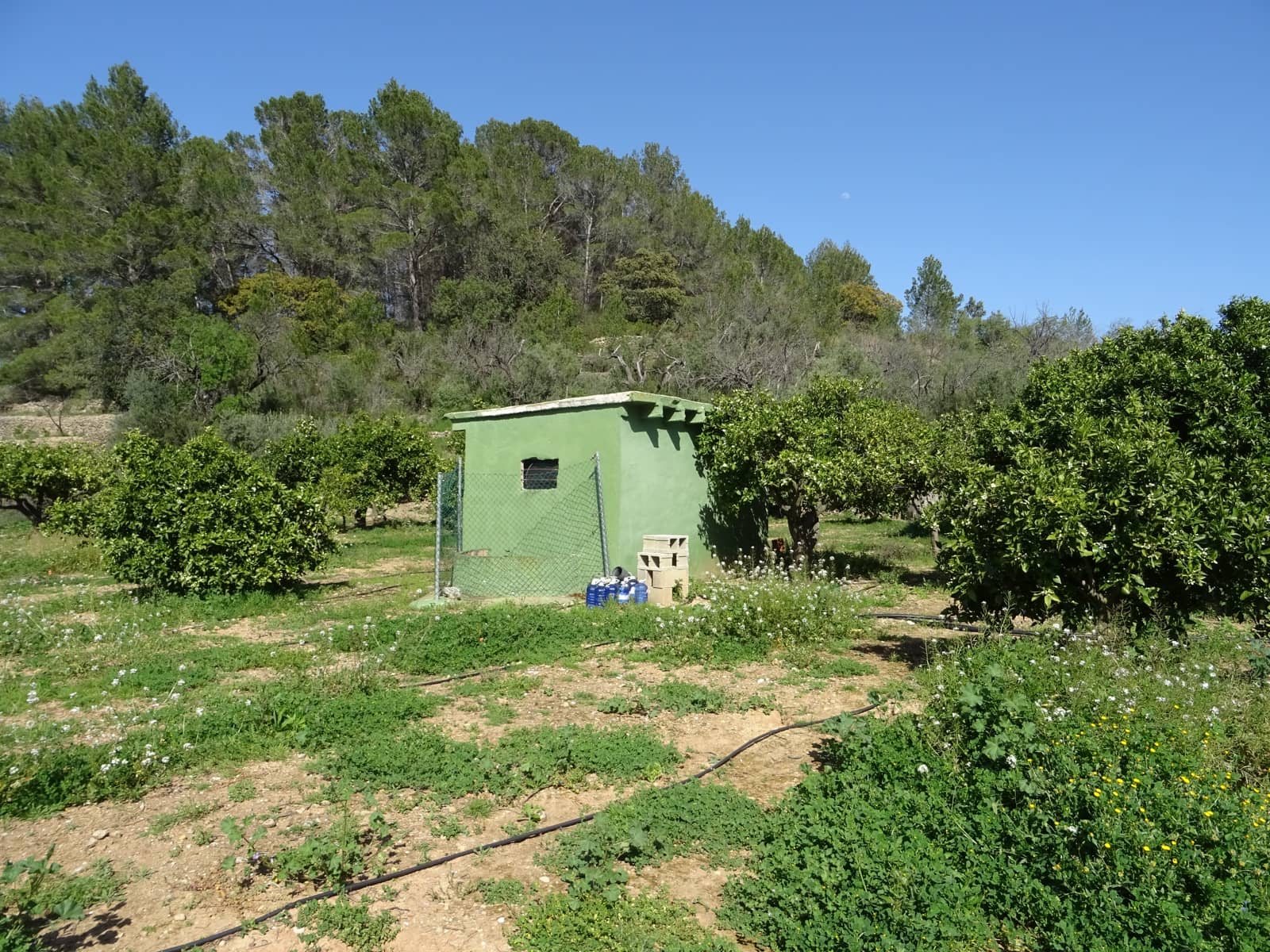 Grunde uden byggetilladelser til salg i Alcalali / Alcanali - € 55.000 (Ref: 247741)