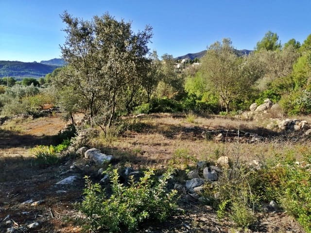 Finca/Landehus til salg i Alcalalí / Alcanalí - € 70.000 (Ref: 251349)