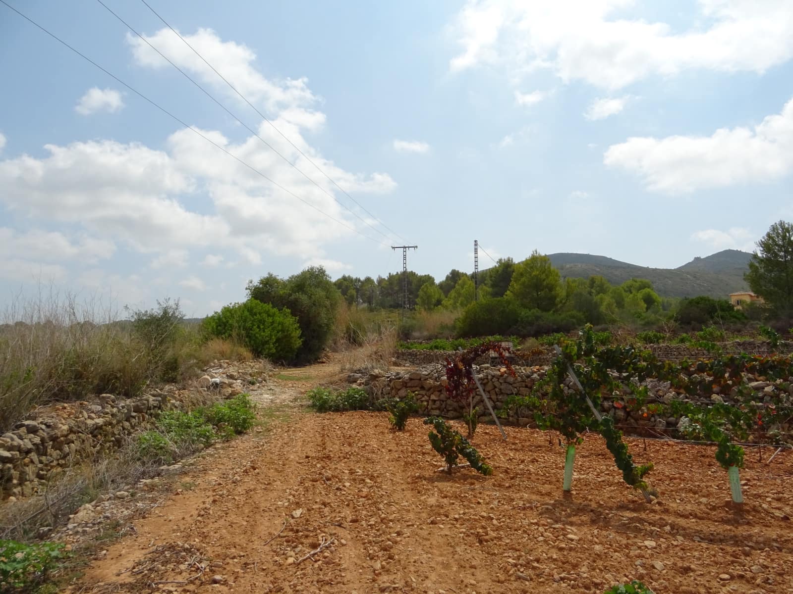 Area Edificabile in vendita in Lliber - 150.000 € (Rif: 251538)