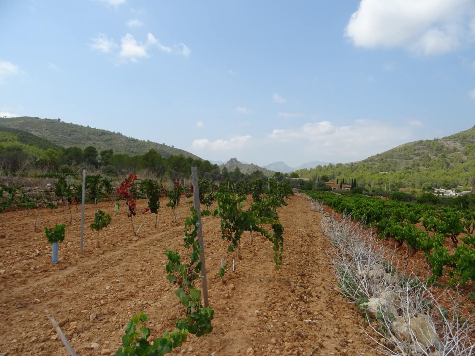 Area Edificabile in vendita in Lliber - 150.000 € (Rif: 251538)