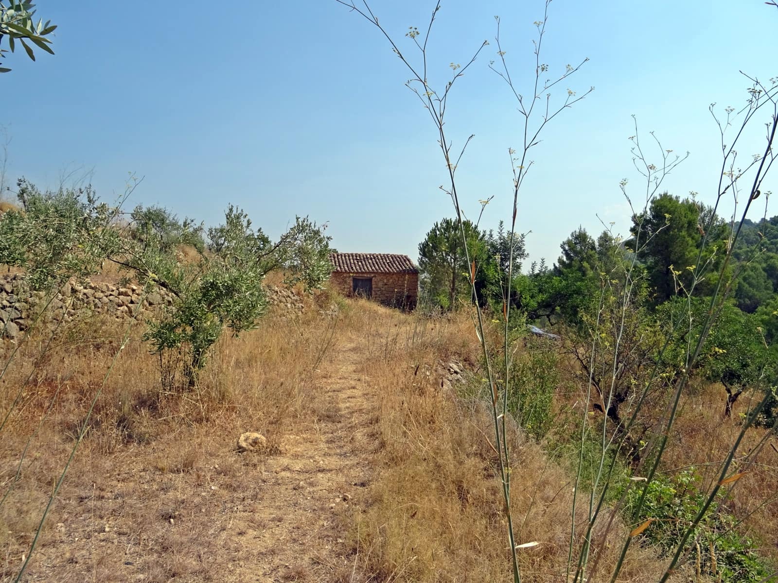 Finca/Landehus til salg i Jalon / Xalo - € 149.000 (Ref: 283782)