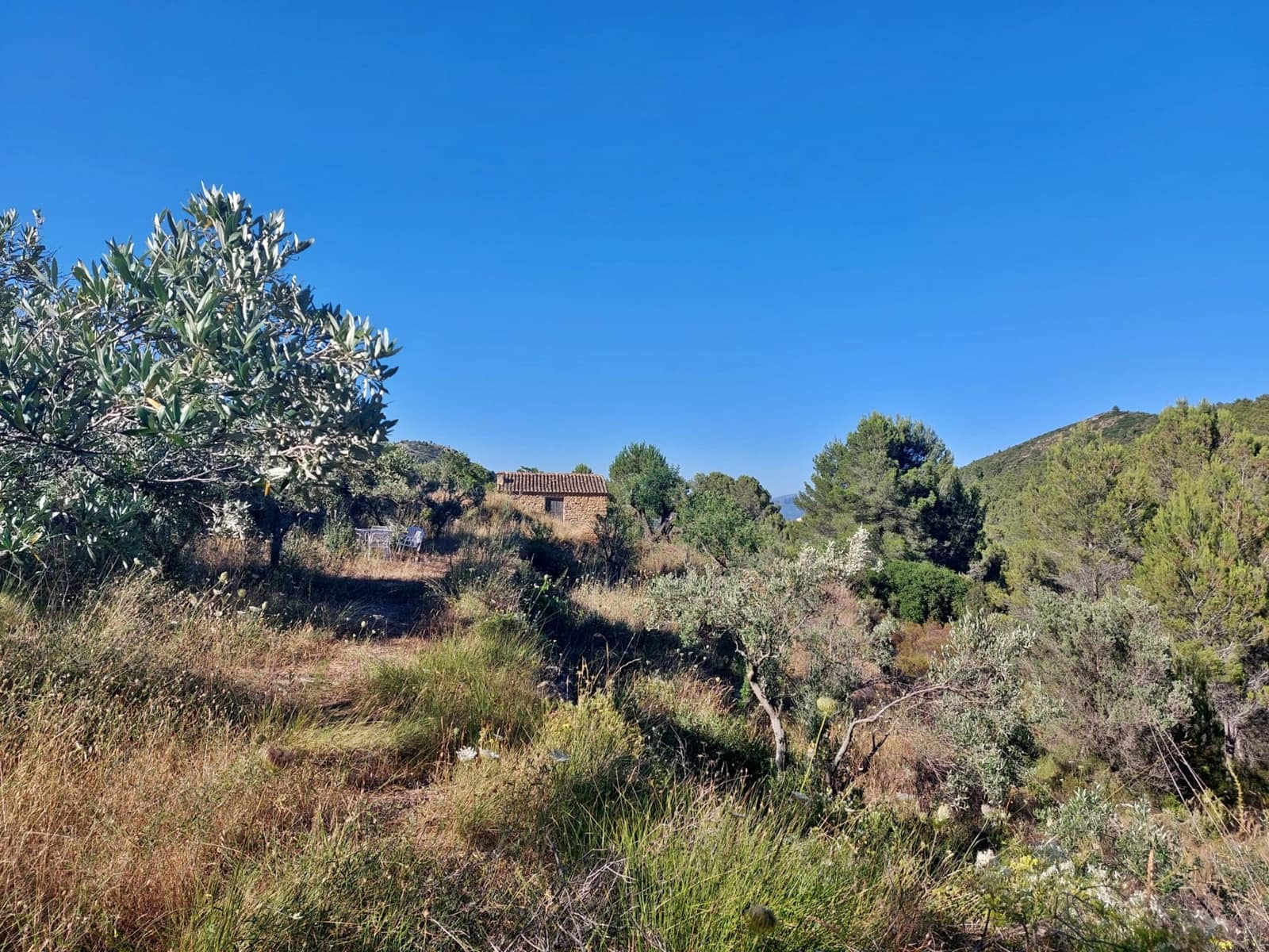 Finca/Landehus til salg i Jalon / Xalo - € 149.000 (Ref: 283782)