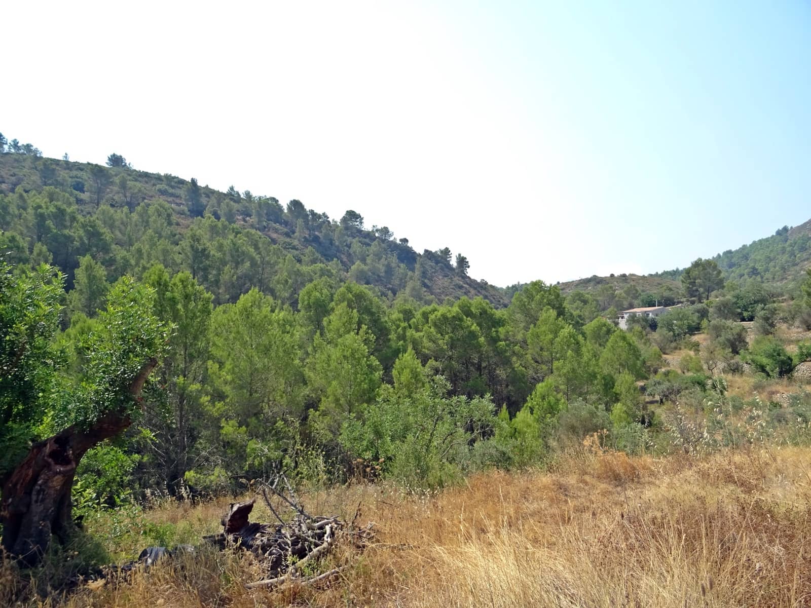 Finca/Landehus til salg i Jalon / Xalo - € 149.000 (Ref: 283782)