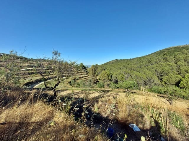 Finca/Landehus til salg i Jalón / Xaló - € 149.000 (Ref: 283782)