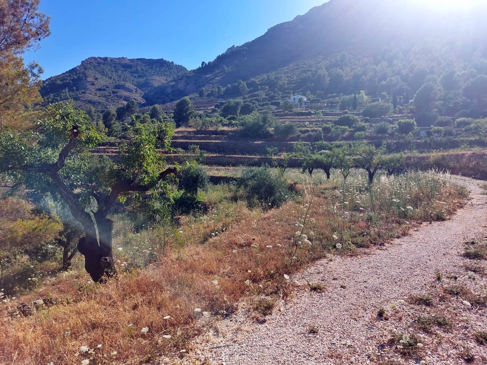 Finca/Landehus til salg i Jalon / Xalo - € 149.000 (Ref: 283782)