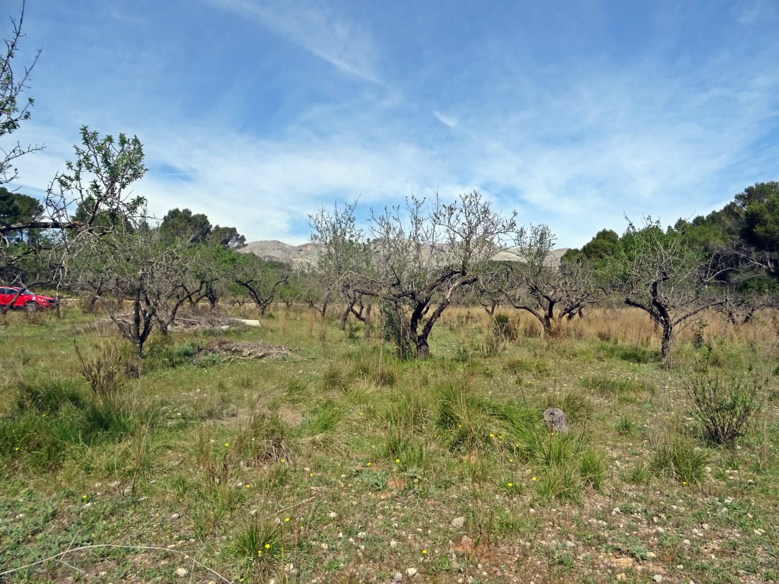 Building Plot for sale in Murla - € 100,000 (Ref: 283784)