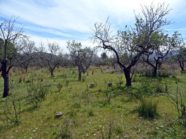 Building Plot for sale in Murla - € 100,000 (Ref: 283784)