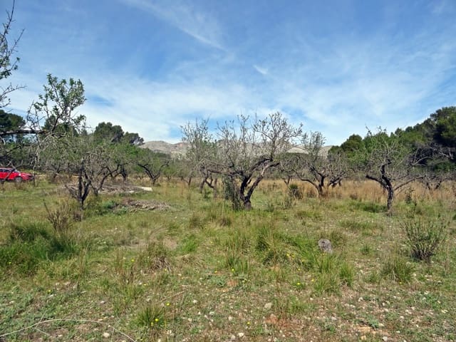 Building Plot for sale in Murla - € 100,000 (Ref: 283784)