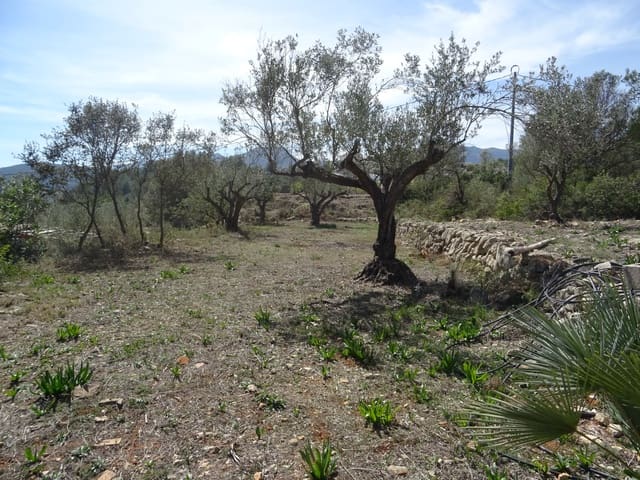 2 soveværelse Finca/Landehus til salg i Alcalalí / Alcanalí - € 90.000 (Ref: 283788)