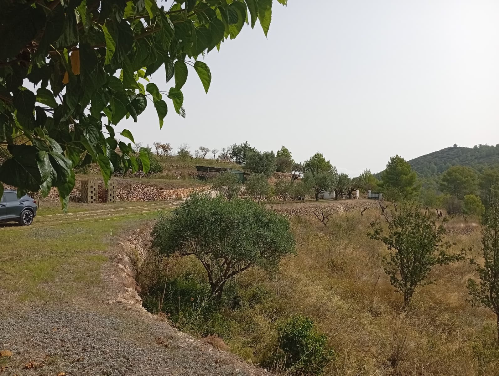 2 soveværelse Finca/Landehus til salg i Jalon / Xalo - € 263.000 (Ref: 714508)