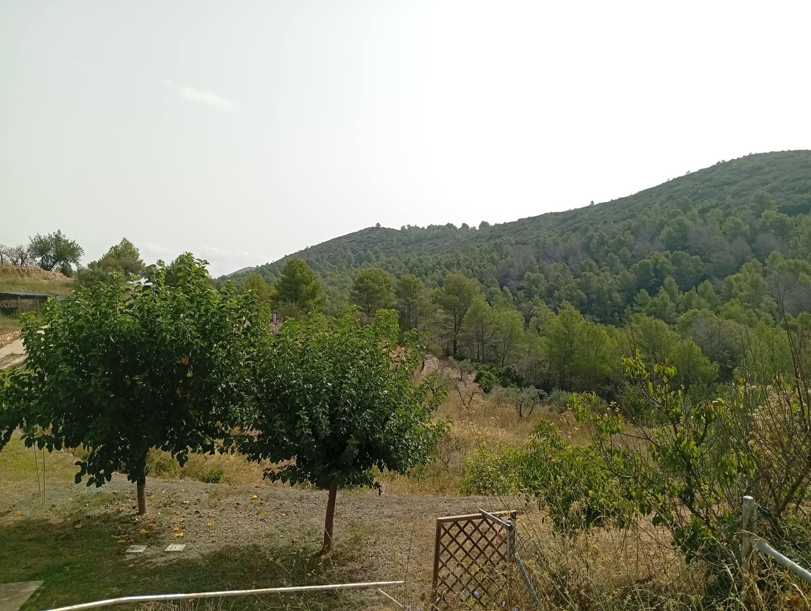 2 soveværelse Finca/Landehus til salg i Jalon / Xalo - € 263.000 (Ref: 714508)