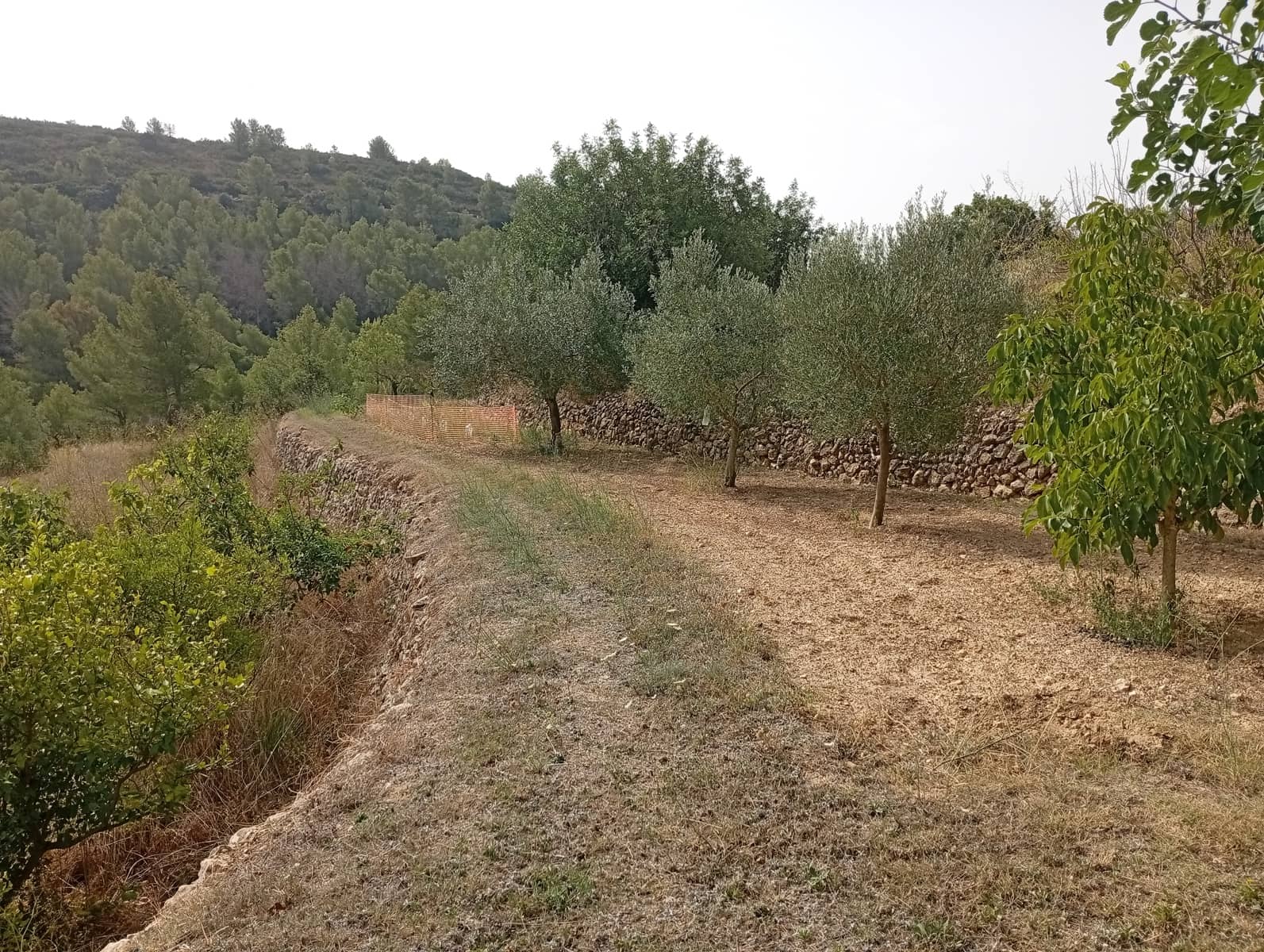 2 soveværelse Finca/Landehus til salg i Jalon / Xalo - € 263.000 (Ref: 714508)