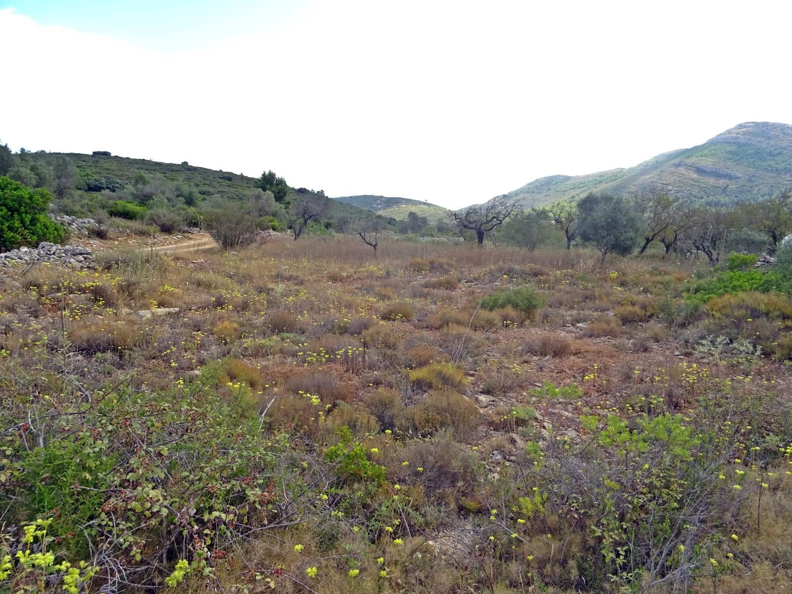 2 soveværelse Finca/Landehus til salg i Lliber - € 50.000 (Ref: 714516)