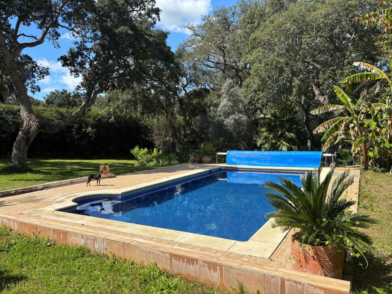 4 chambre Villa/Maison à vendre à Sotogrande avec piscine garage - 1 190 000 € (Ref: 9735922)