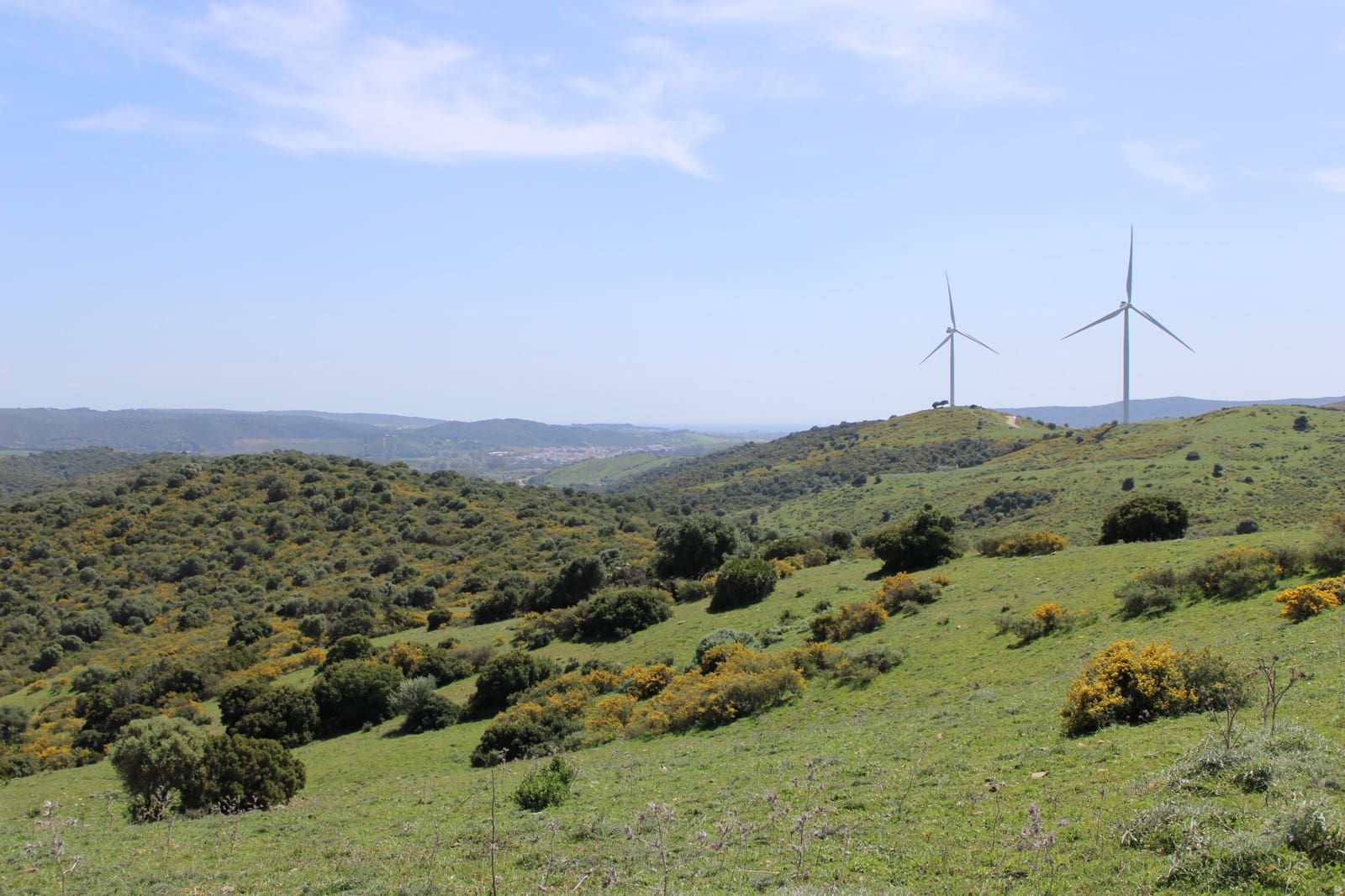 Terrain à Bâtir à vendre à San Martin del Tesorillo - 600 000 € (Ref: 9735924)
