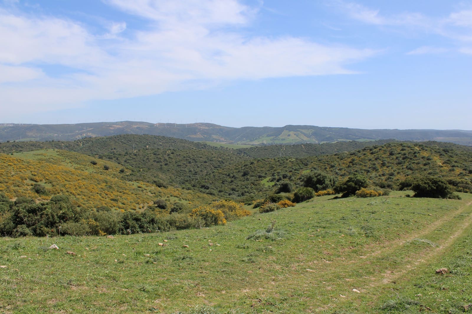 Terrain à Bâtir à vendre à San Martin del Tesorillo - 600 000 € (Ref: 9735924)