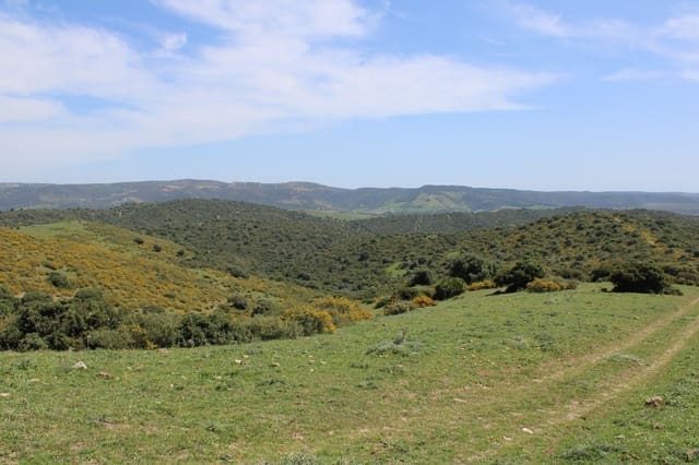 Terrain à Bâtir à vendre à San Martin del Tesorillo - 600 000 € (Ref: 9735924)