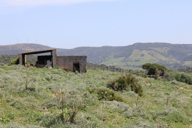 Terrain à Bâtir à vendre à San Martin del Tesorillo - 600 000 € (Ref: 9735924)