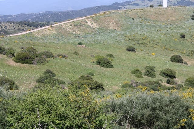 Terrain à Bâtir à vendre à San Martin del Tesorillo - 600 000 € (Ref: 9735924)