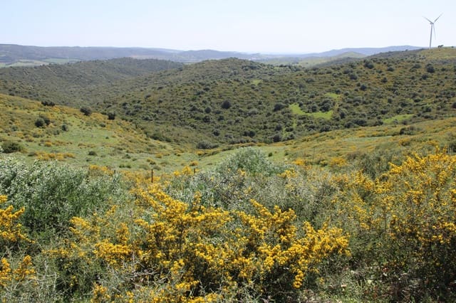 Terrain à Bâtir à vendre à San Martin del Tesorillo - 600 000 € (Ref: 9735924)