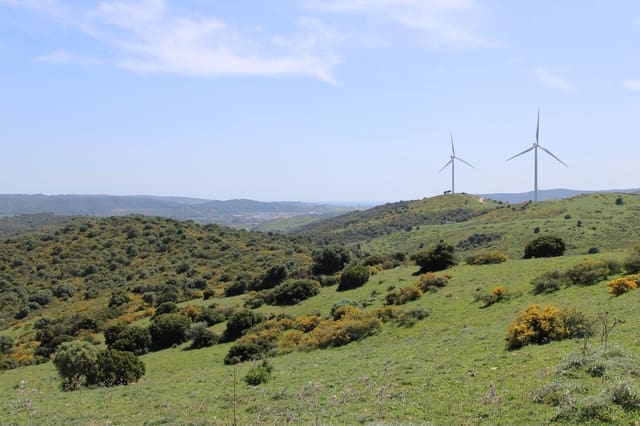Terreno para Construção para venda em San Martin del Tesorillo - 600 000 € (Ref: 9735924)