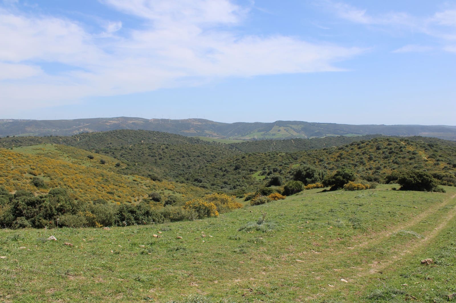 Bouwgrond te koop in San Martin del Tesorillo - € 600.000 (Ref: 9735924)