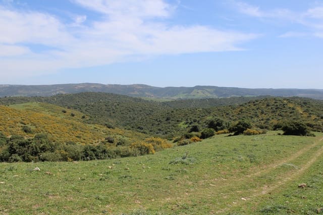 Terreno para Construção para venda em San Martin del Tesorillo - 600 000 € (Ref: 9735924)