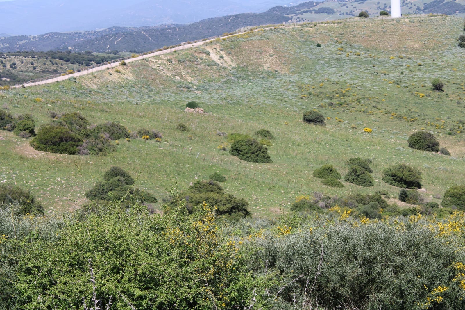 Bouwgrond te koop in San Martin del Tesorillo - € 600.000 (Ref: 9735924)