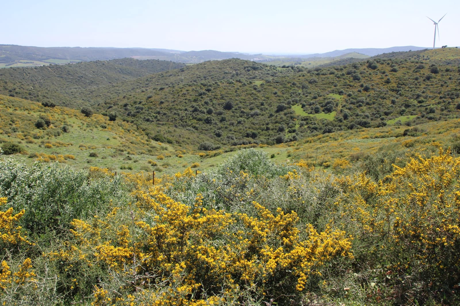 Bouwgrond te koop in San Martin del Tesorillo - € 600.000 (Ref: 9735924)