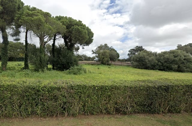 Area Edificabile in vendita in Sotogrande, San Roque - 550.000 € (Rif: 9735925)