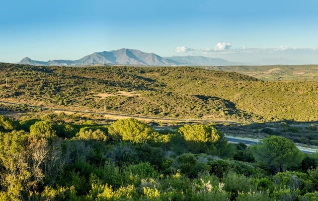 Terrain à Bâtir à vendre à Sotogrande, San Roque - 8 400 000 € (Ref: 9741623)