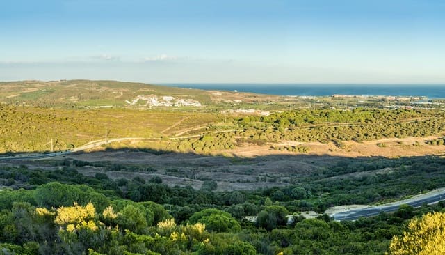 Terrain à Bâtir à vendre à Sotogrande, San Roque - 8 400 000 € (Ref: 9741623)