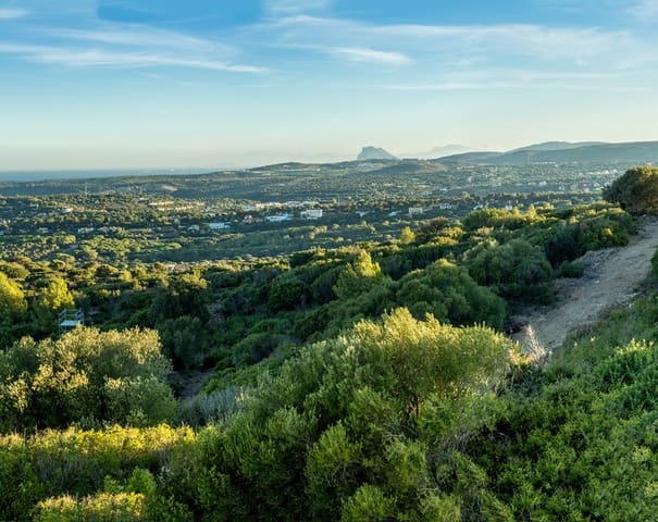Terrain à Bâtir à vendre à Sotogrande, San Roque - 8 400 000 € (Ref: 9741623)