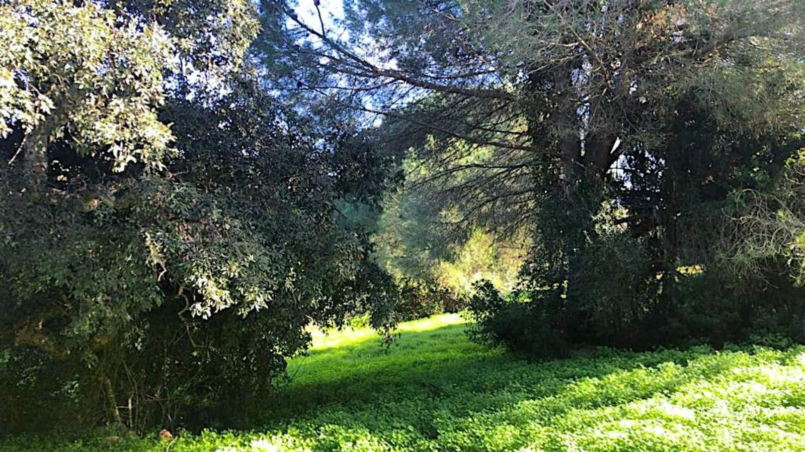 Building Plot for sale in Sotogrande - € 490,000 (Ref: 9859678)