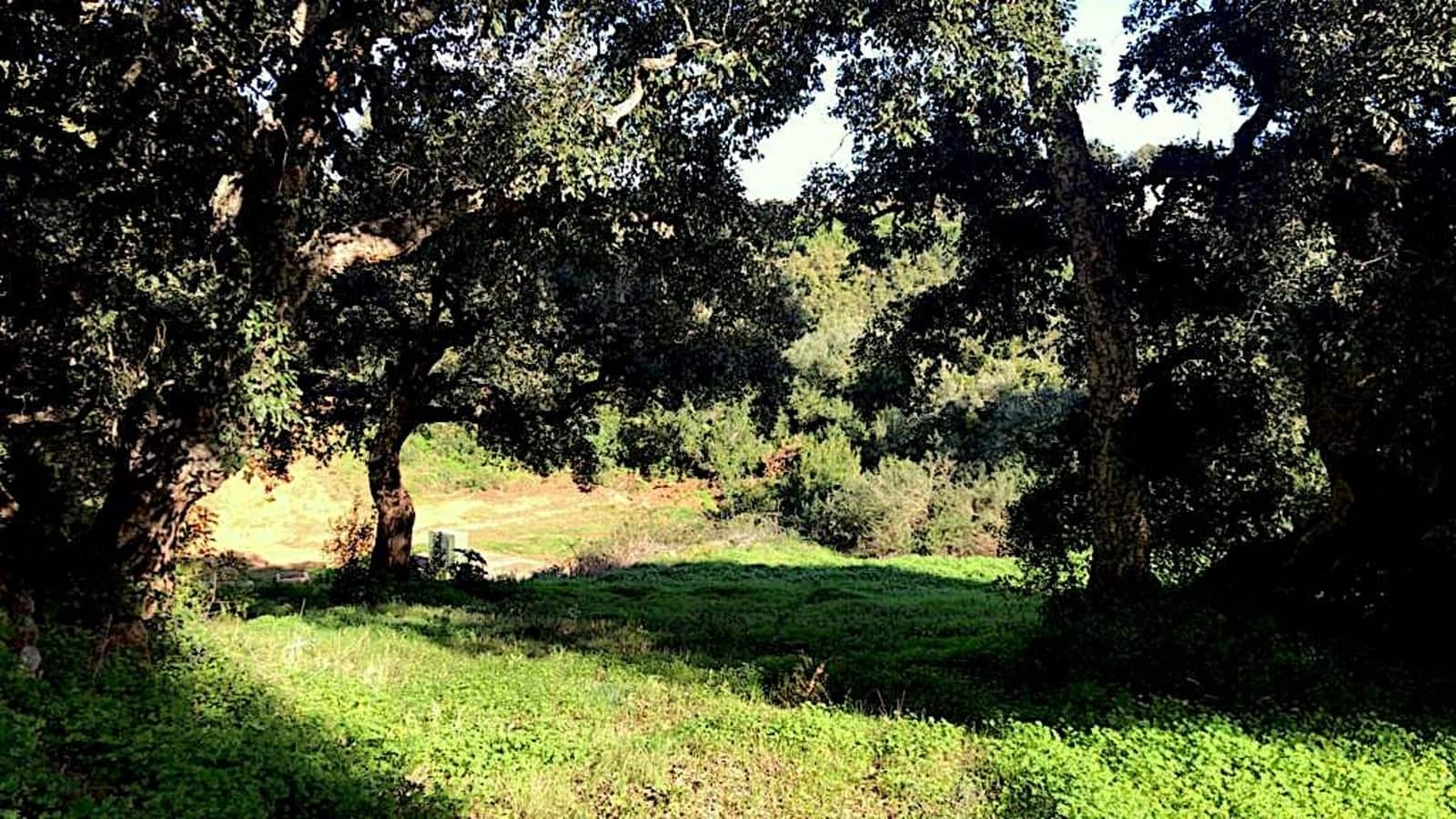 Building Plot for sale in Sotogrande - € 490,000 (Ref: 9859678)