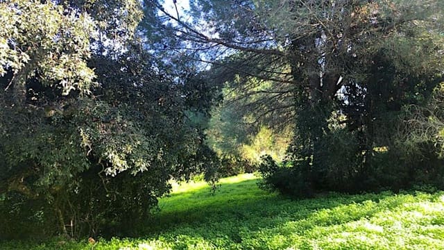 Terrain à Bâtir à vendre à Sotogrande, San Roque - 490 000 € (Ref: 9859678)