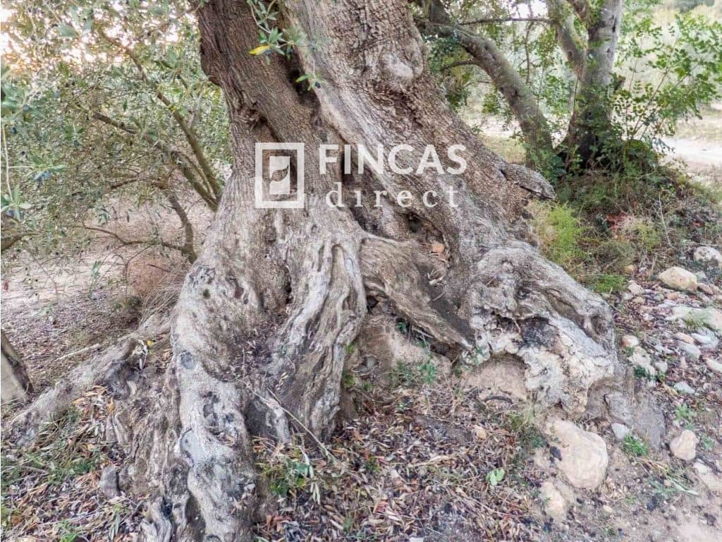 2 soveværelse Finca/Landehus til salg i Benifallet med garage - € 125.000 (Ref: 8426738)